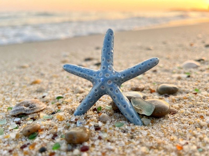 Blue ceramic starfish decoration