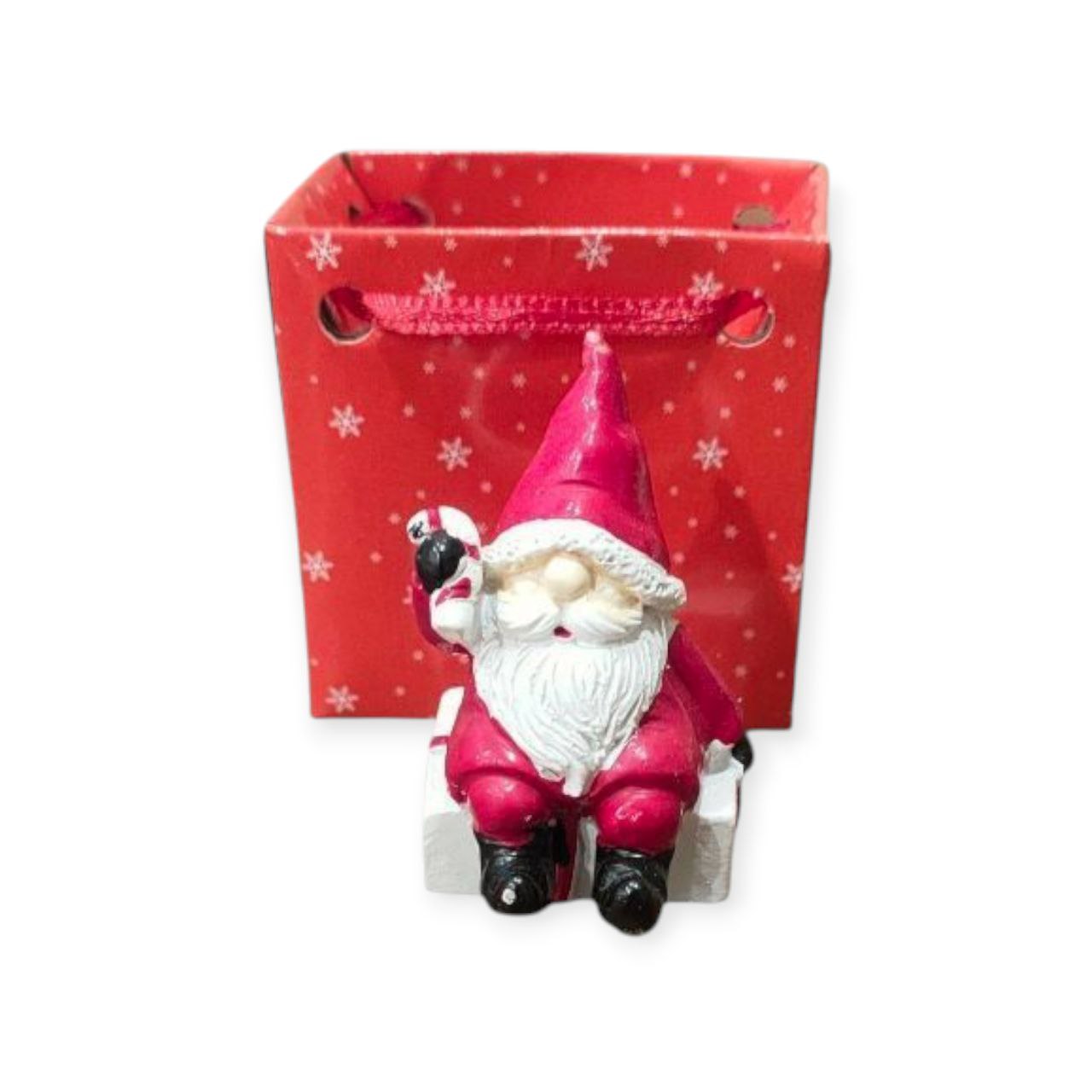 Santa statue in a bag
