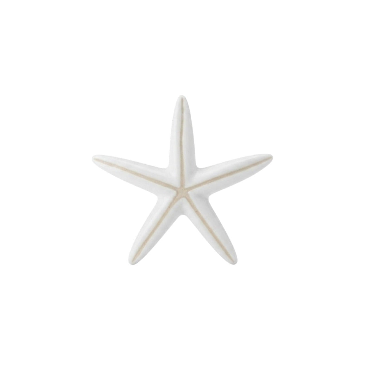 Ceramic starfish decoration