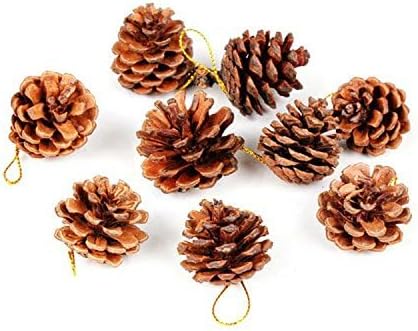 Pinecone Ornaments Christmas Gift