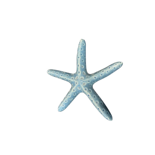Blue ceramic starfish decoration