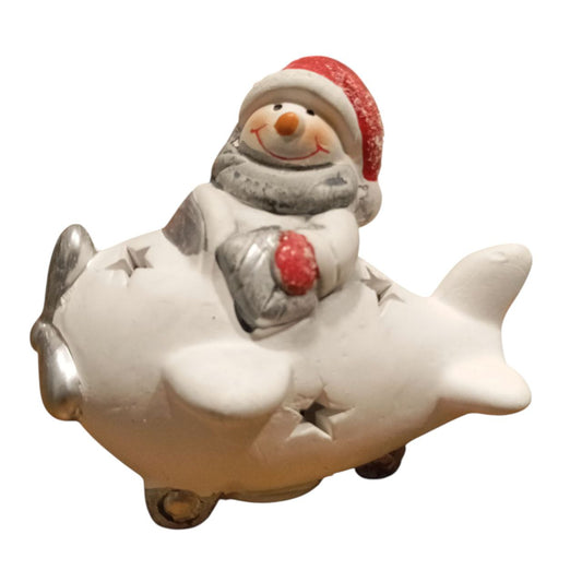 White Santa plane