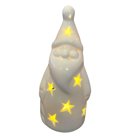 White LED Light Up Pot Christmas Star Santa