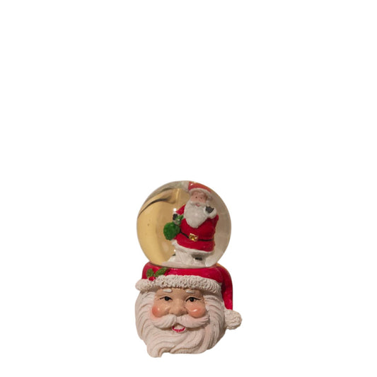 Santa face water bowl