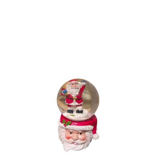 Santa face water bowl