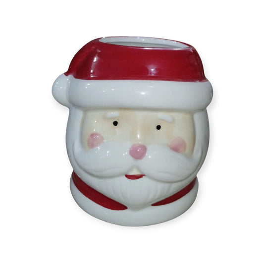 Santa Claus in the shape of a vase for plants and flowers