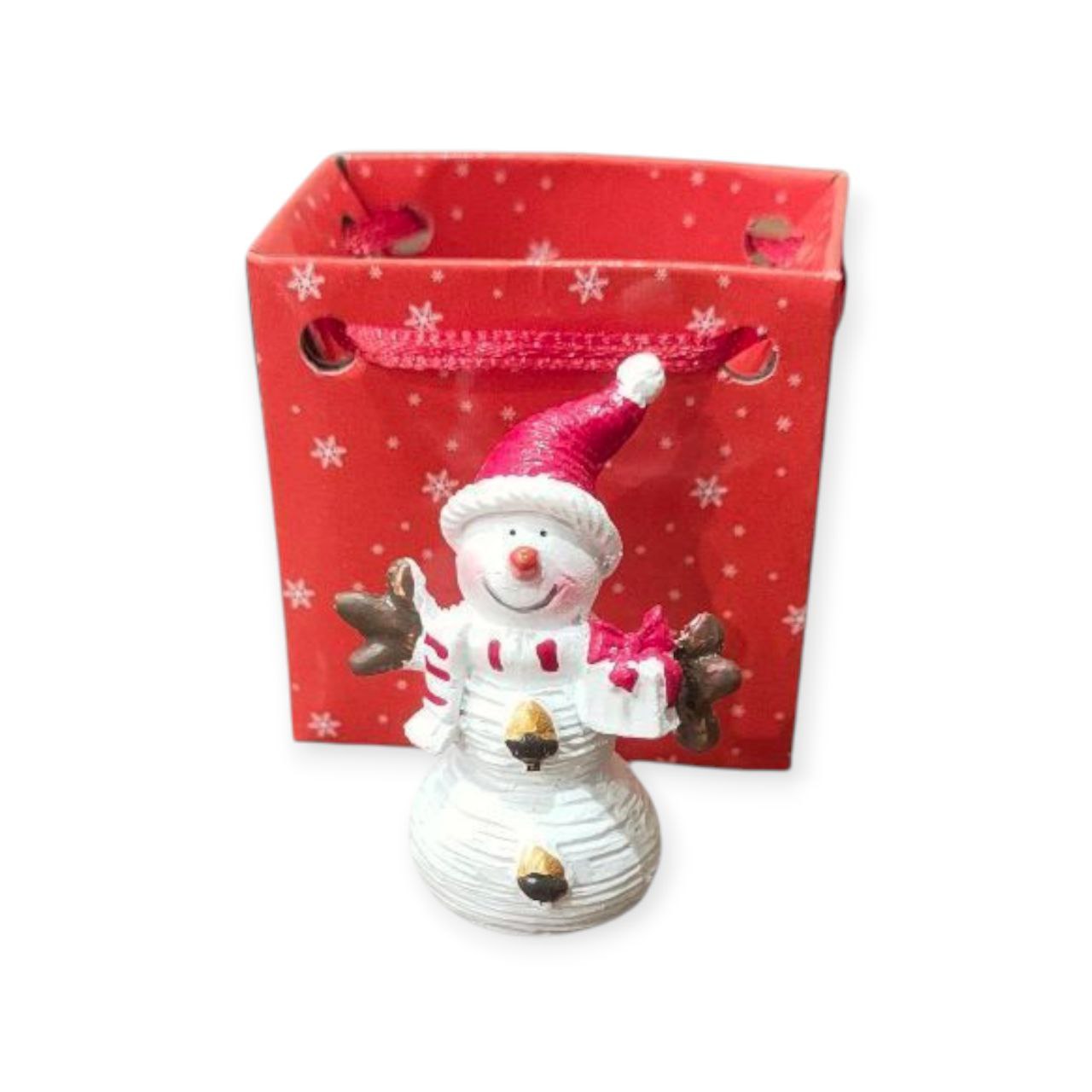 Snowman statue in a bag