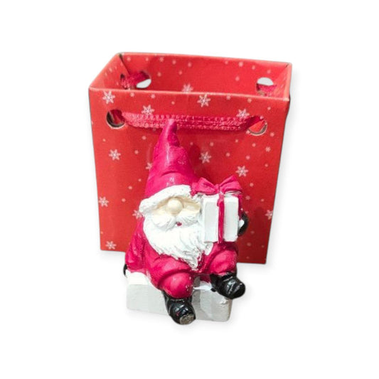 SANTA statue in a bag