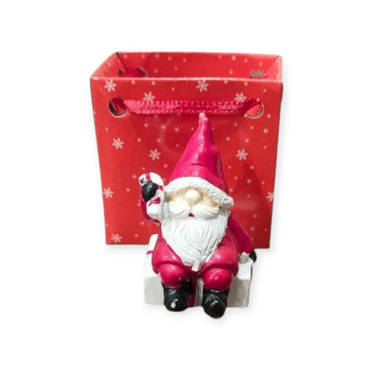 Santa statue in a bag