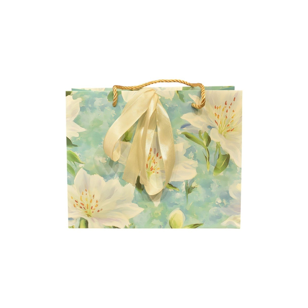 Paper bag, size 25x19.
